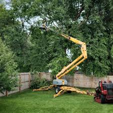 Best Tree Mulching  in Tres Arroyos, NM